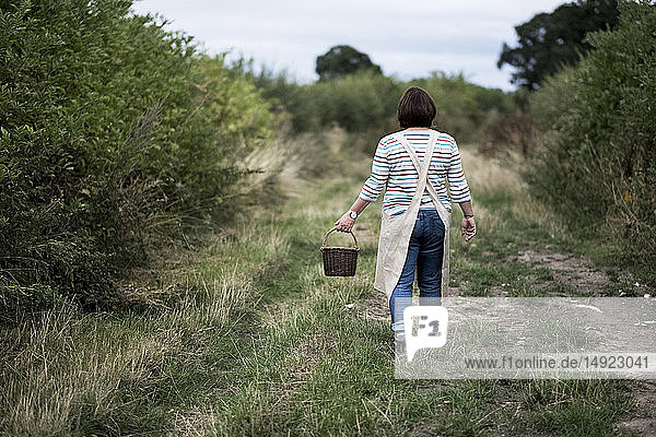 Rückansicht einer Frau  die einen ländlichen Weg entlang geht und einen braunen Weidenkorb trägt.
