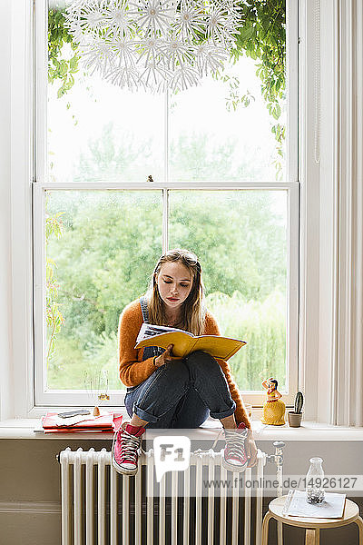 Fokussierte junge Studentin  die am Fenster studiert