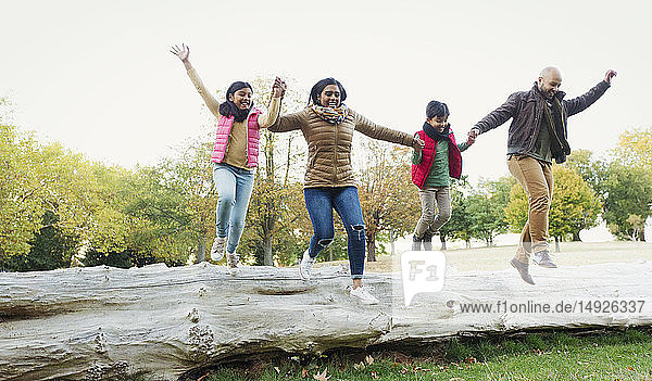 Glückliche  verspielte Familie  die sich an den Händen hält und von einem Baumstamm im Herbstpark springt