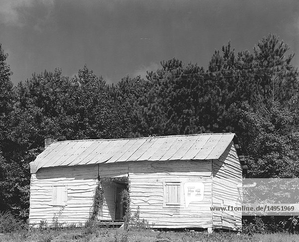 Negro cabin. Hale County  Alabama
