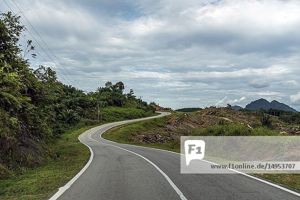 A road to Kampung Gumbang  Sarawak  Malaysia