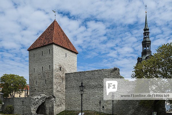 Maiden's Tower (Neitsitorn)  Tallinn's City Walls  Old Town  Tallinn  Estonia  Baltic States.