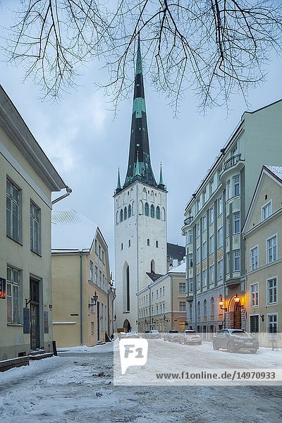 Winter morning in Tallinn old town  Estonia. St Olaf's church in the distance.