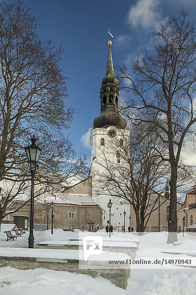 Winter afternoon at St Mary's cathedral in Tallinn old town  Estonia.