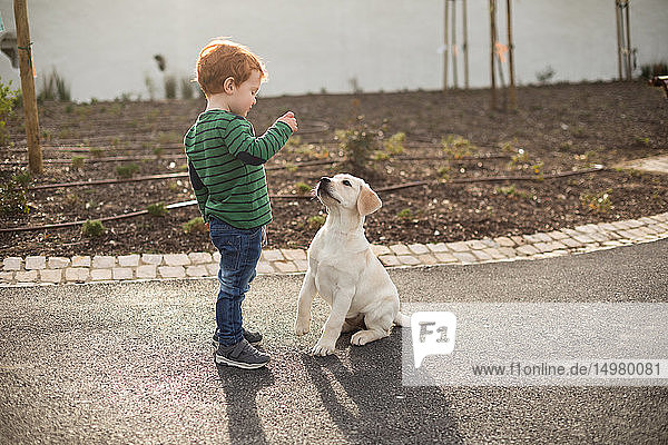 Boy giving pet puppy training treat