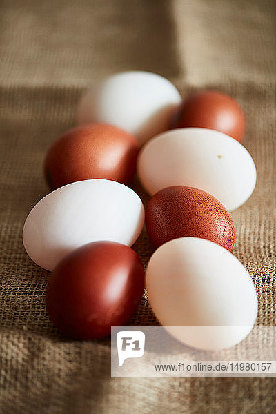 Weiße und braune Eier auf Leinentuch