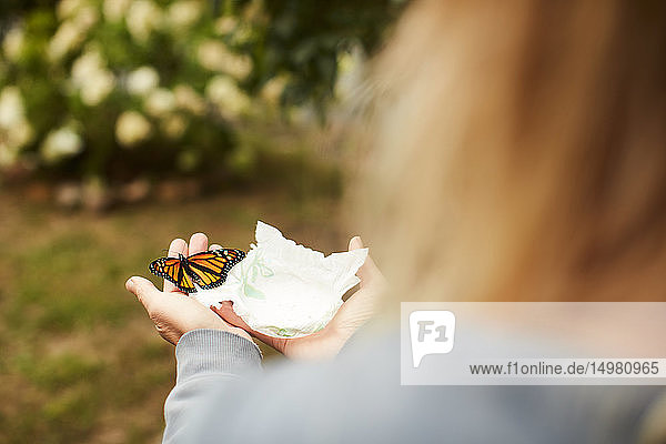 Monarch butterfly on tissue in palm