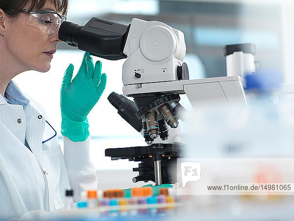 Medizinische Tests verschiedener menschlicher Proben  einschließlich Blut und Gewebe  unter dem Mikroskop im Labor