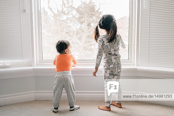 Mädchen und kleiner Bruder schauen durch das Wohnzimmerfenster  Rückansicht