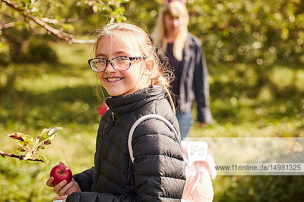 Mädchen pflückt Äpfel vom Baum