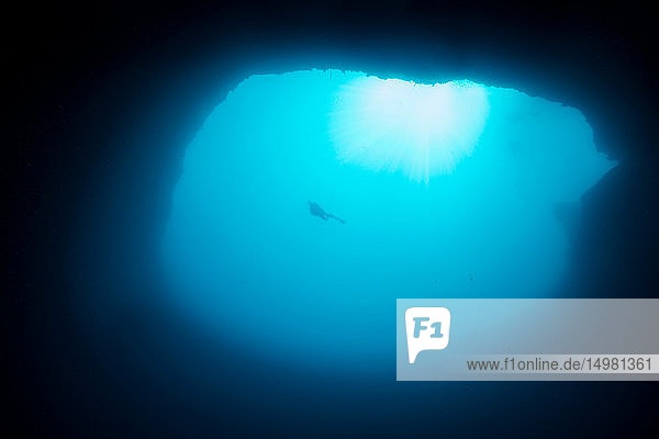 Unterwasserschuss aus einem 275 Fuß tiefen Sinkloch und Taucher  bekannt als Blue Hole  Eleuthera  Bahamas