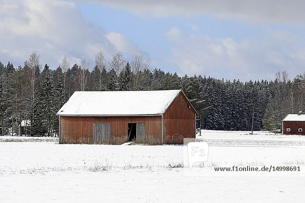 Rural landscape with red wooden barn in snowy field on a beautiful day of winter.