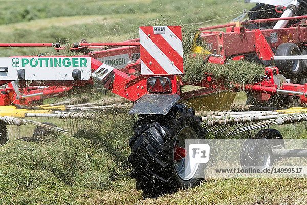 Close up of a Pottinger grass rake in action in an upland meadow.