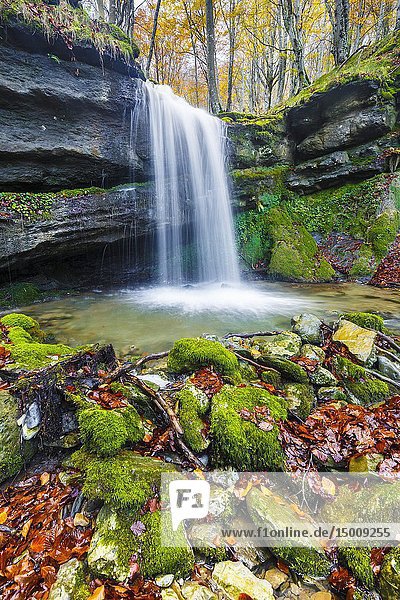 Waterfall in a beechwood. Portillo de la Sia Pass. Cantabria  Spain  Europe.