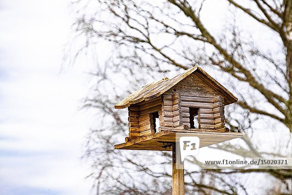 Bird house in Sweden.