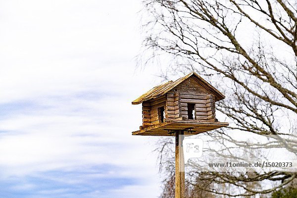 Bird house in Sweden.