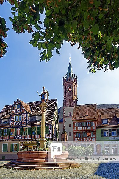 Marienbrunnen Ladenburg Baden-Württemberg Deutschland Europa