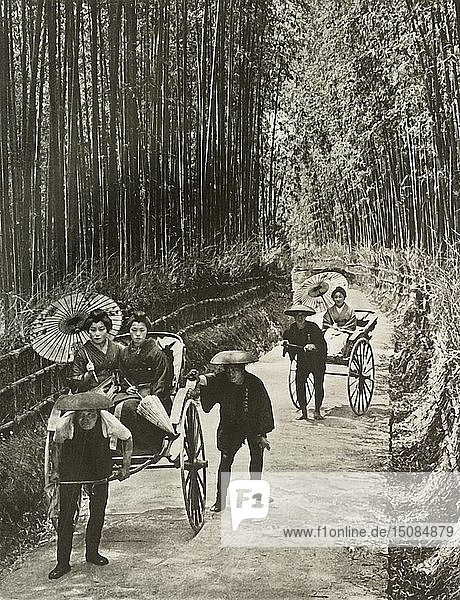 Eine Bambusallee in Kyoto   1910. Schöpfer: Herbert Ponting.