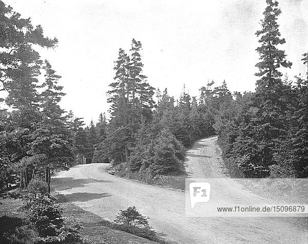 Point Pleasant Park  Halifax  Nova Scotia  Kanada  um 1900. Schöpfer: Unbekannt.