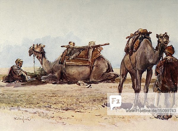 Studie über Kamele und ihre Begleiter   1902. Schöpfer: John Fulleylove.