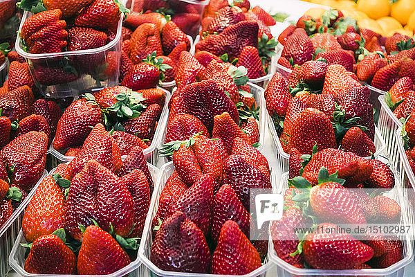 Körbchenweise Erdbeeren