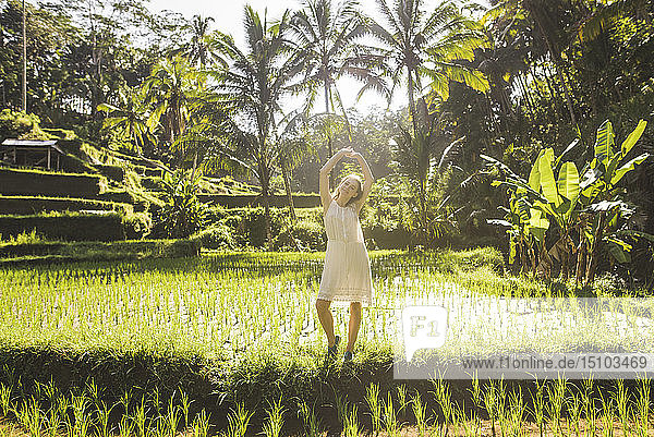 Junge Frau in weißem Kleid in einem Reisfeld auf Bali  Indonesien