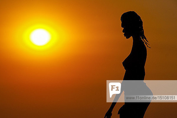 Giant statue by an Aboriginal artist in the backlight  Northern Territory  Australia