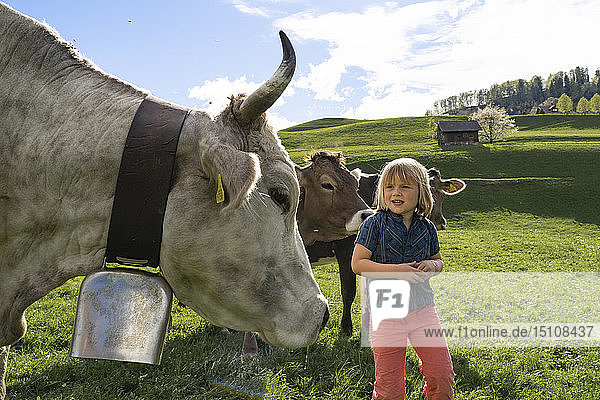Mädchen mit Kühen auf der Weide