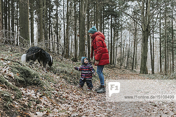 Mutter mit kleiner Tochter und Border Collie im Herbstwald