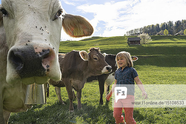 Mädchen mit Kühen auf der Weide