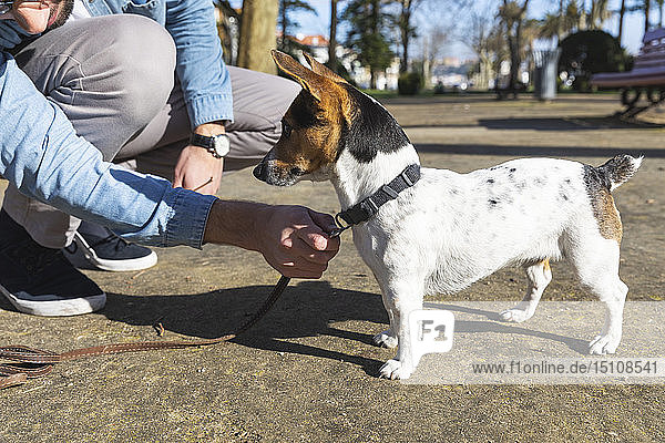 Junger Mann unterrichtet seinen Hund in einem Park