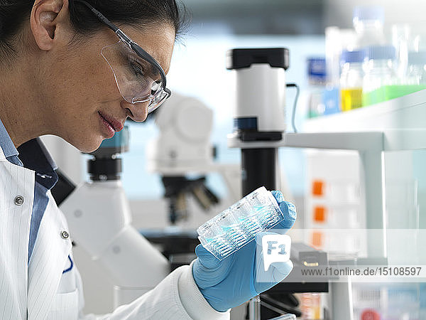 Biotech-Forschung  Wissenschaftlerin betrachtet während eines Experiments im Labor Proben in einer Multiwell-Platte  die für die Analyse bereit sind