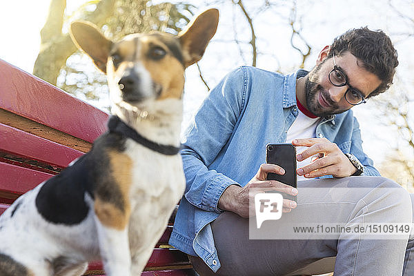 Portrait of young man sitting on park bench taking photo of his dog with smartphone