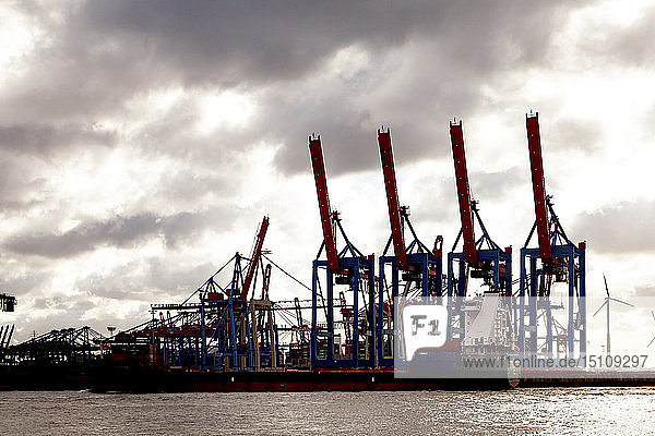 Hafenkräne im Hamburger Hafen  Hamburg  Deutschland