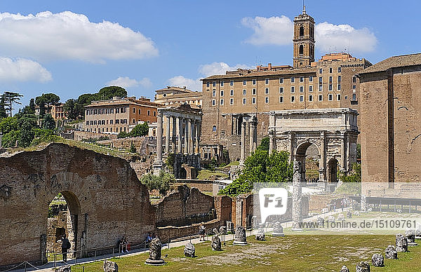 Forum Romanum  Rome  Italy