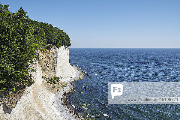Germany Mecklenburg-Western Pomerania Ruegen Sassnitz Jasmund National Park chalk coast