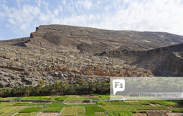 Oman Ad Dakhiliyah Gouvernorat Ruinen von Riwaygh als Safil Oase Palmenhain