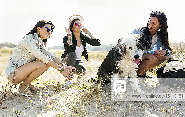 Drei glückliche Frauen mit Hund am Strand