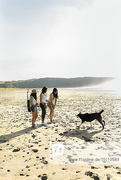 Three women with dog and guitar on the beach