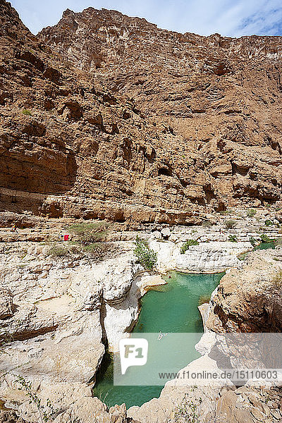 Blick über einen kleinen See im Wadi Shab Oman