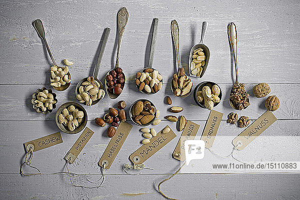 Erdnüsse  Haselnüsse  Cashewnüsse  Paranüsse  Pistazien und Mandeln