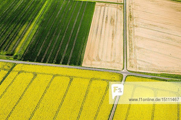 Luftaufnahme von Raps- und Maisfeldern bei Usingen  Hessen  Deutschland