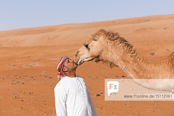 Beduine küsst sein Kamel in der Wüste  Wahiba Sands  Oman