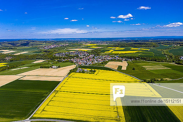 Luftaufnahme von Raps- und Maisfeldern bei Usingen und Schwalbach  Hessen  Deutschland