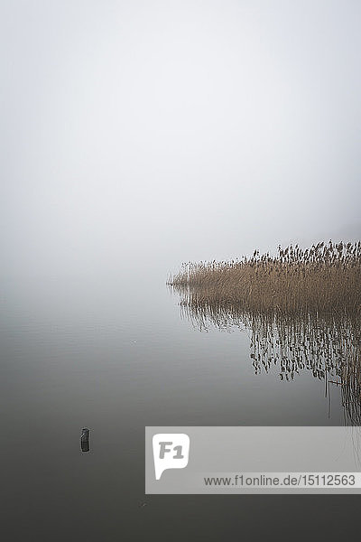 Deutschland, Brandenburg, Rangsdorfer See und Nebel