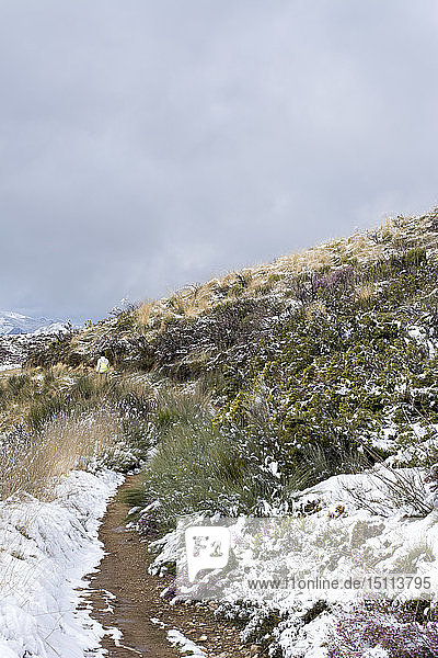 Schnee am Jakobsweg  in der Nähe von Cruz de Ferro  Spanien