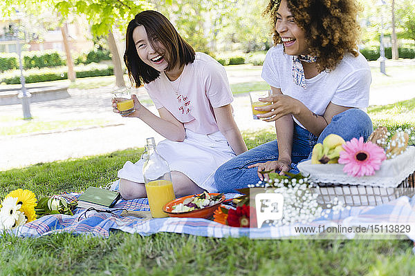 Zwei lachende Frauen beim Picknick im Park