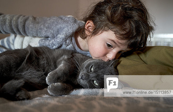Toddler girl kissing grey cat lying on bed