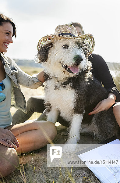 Glückliche Frauen mit Hund tragen einen Strohhut am Strand