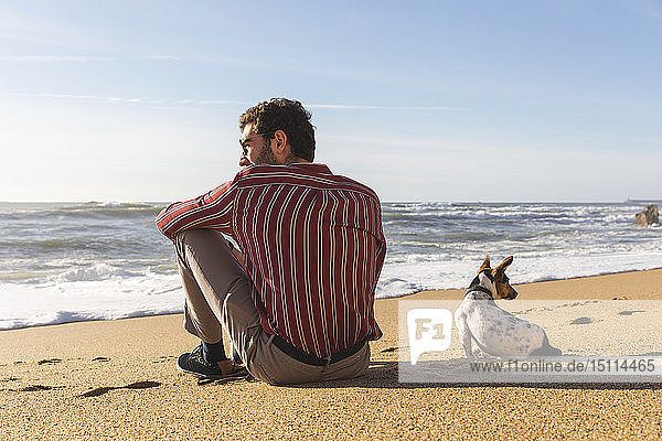 Portugal  Porto  Rückenansicht eines jungen Mannes  der mit seinem Hund am Strand sitzt